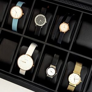 6 Skagen Denmark Watches